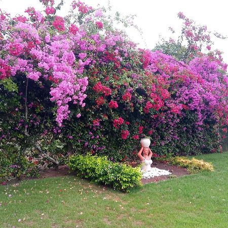 Casa Rustica Em Gravata Villa ภายนอก รูปภาพ